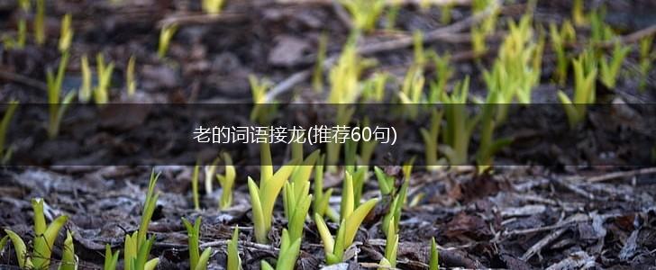 老的词语接龙(推荐60句),第1张