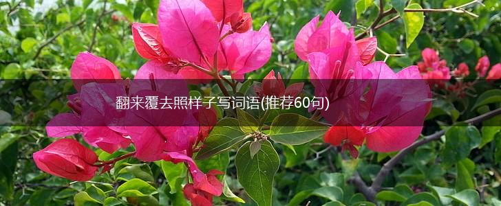 翻来覆去照样子写词语(推荐60句),第1张