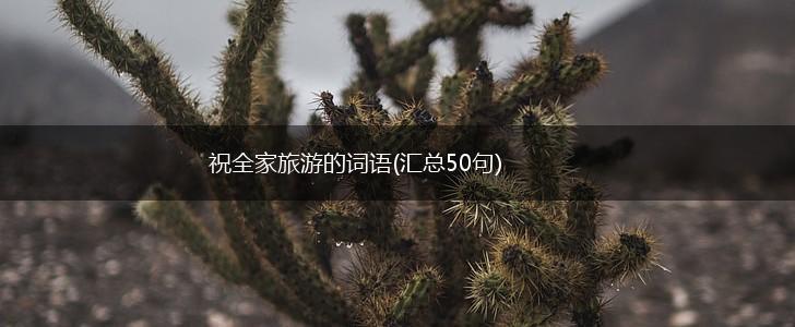 祝全家旅游的词语(汇总50句),第1张