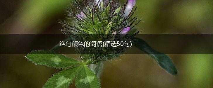 绝句颜色的词语(精选50句),第1张