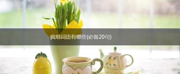 疯组词语有哪些(必备20句),第1张