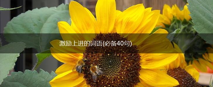激励上进的词语(必备40句),第1张