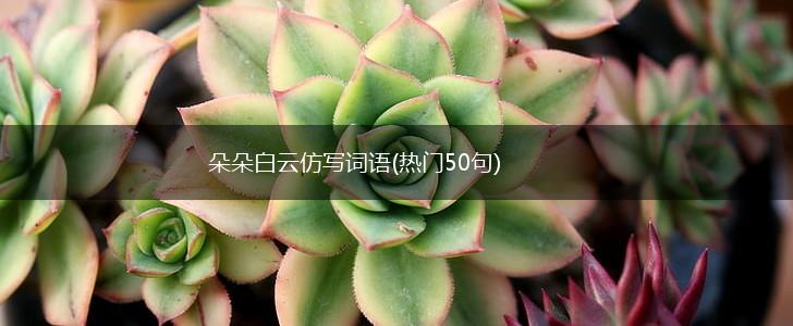 朵朵白云仿写词语(热门50句),第1张