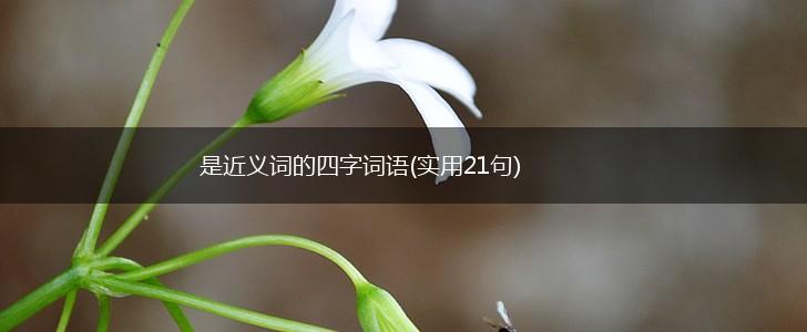 是近义词的四字词语(实用21句),第1张