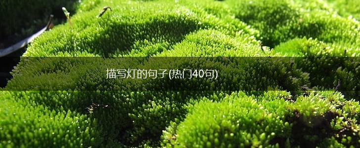 描写灯的句子(热门40句),第1张