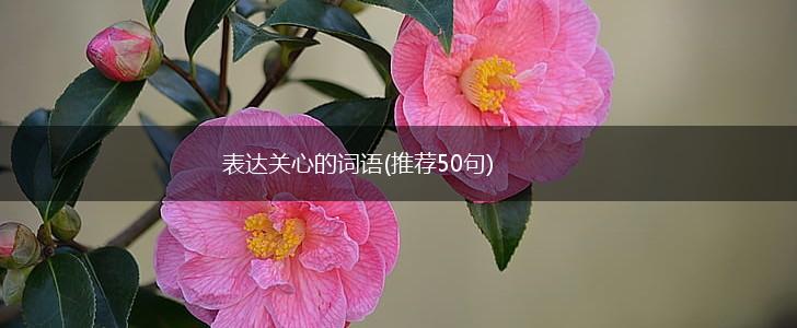 表达关心的词语(推荐50句),第1张