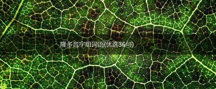 隆多音字组词语(优选36句),第1张
