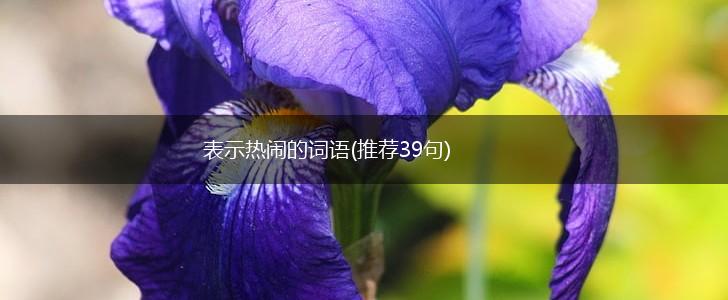 表示热闹的词语(推荐39句),第1张