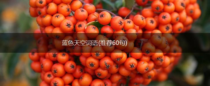 蓝色天空词语(推荐60句),第1张