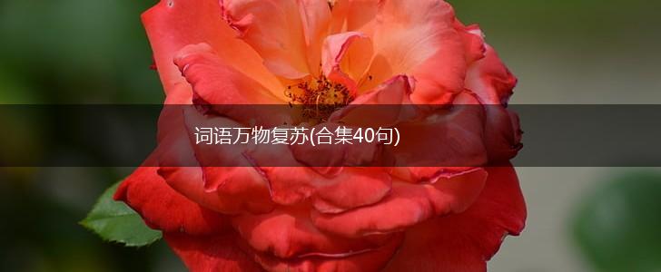 词语万物复苏(合集40句),第1张
