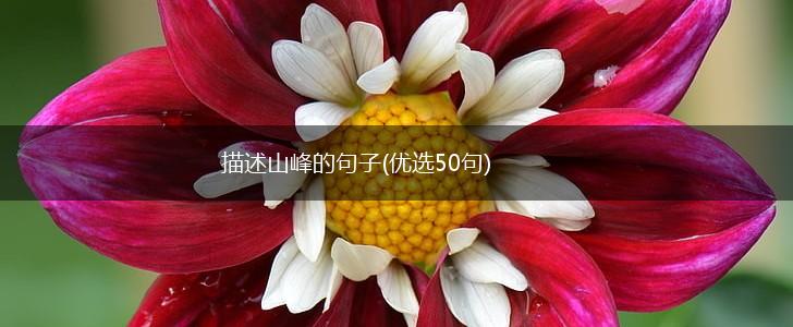 描述山峰的句子(优选50句),第1张