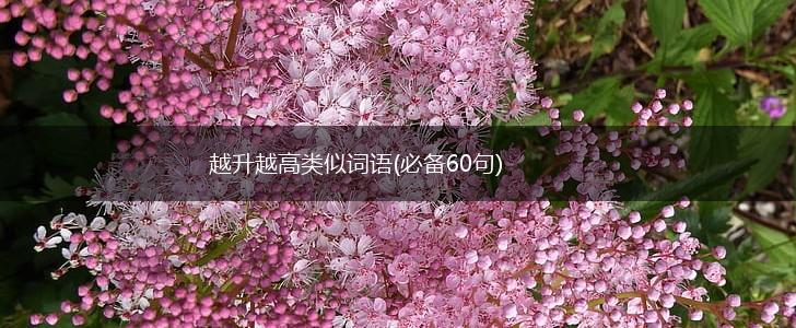 越升越高类似词语(必备60句),第1张