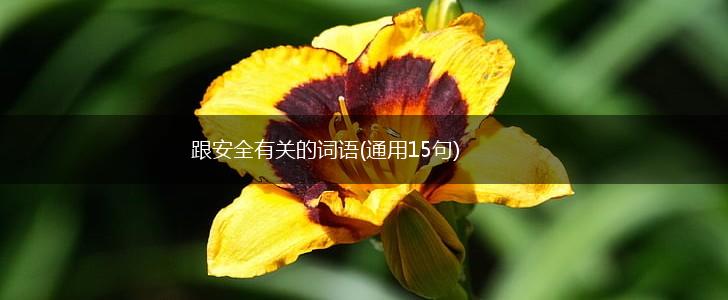 跟安全有关的词语(通用15句),第1张