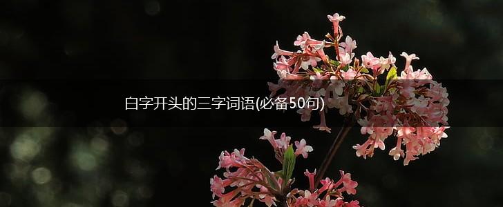 白字开头的三字词语(必备50句),第1张