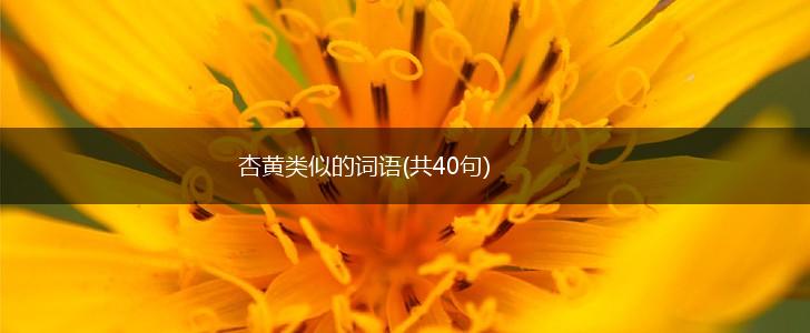 杏黄类似的词语(共40句),第1张