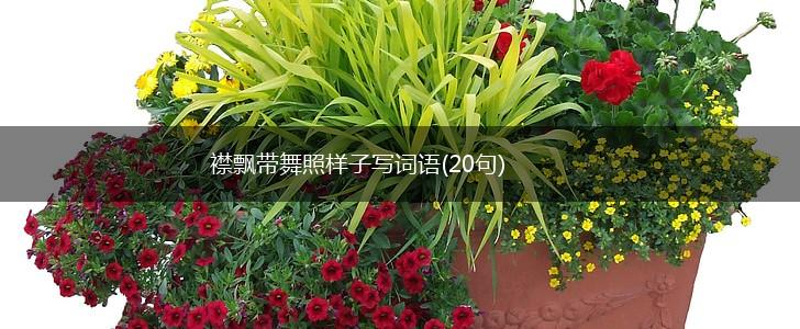 襟飘带舞照样子写词语(20句),第1张