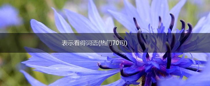 表示看得词语(热门70句),第1张