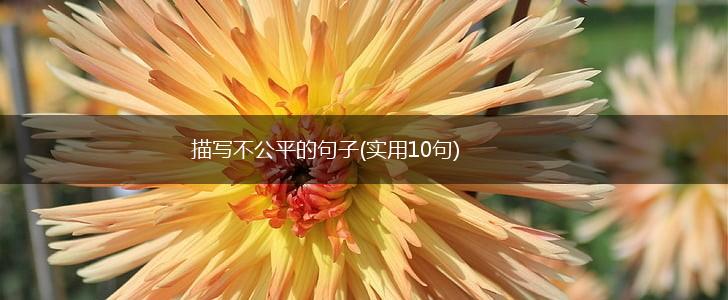 描写不公平的句子(实用10句),第1张