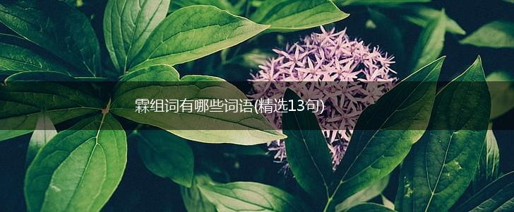 霖组词有哪些词语(精选13句),第1张