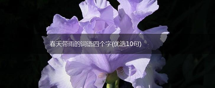 春天带雨的词语四个字(优选10句),第1张