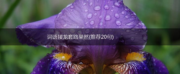 词语接龙套路果然(推荐20句),第1张