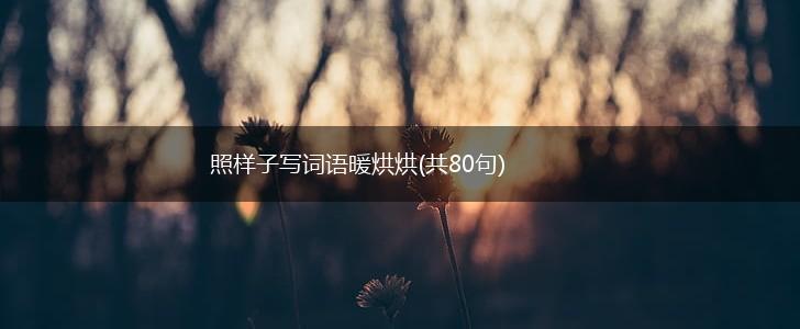 照样子写词语暖烘烘(共80句),第1张