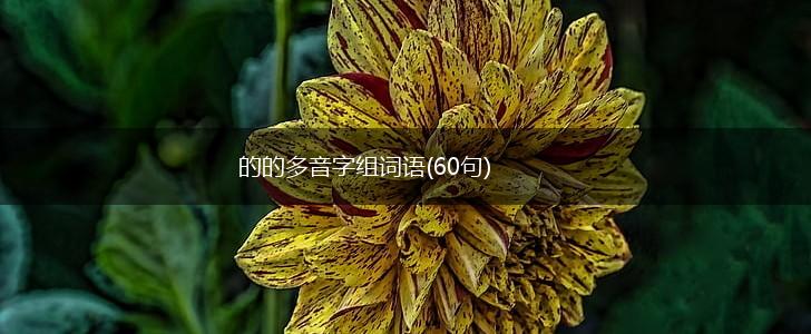 的的多音字组词语(60句),第1张