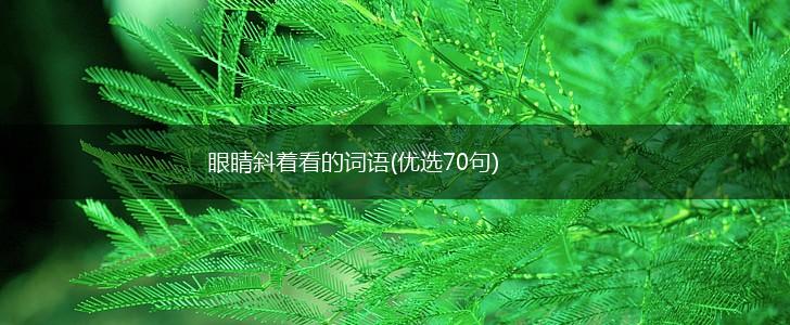 眼睛斜着看的词语(优选70句),第1张