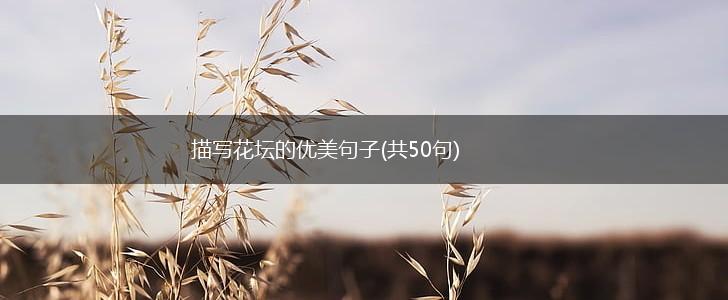 描写花坛的优美句子(共50句),第1张