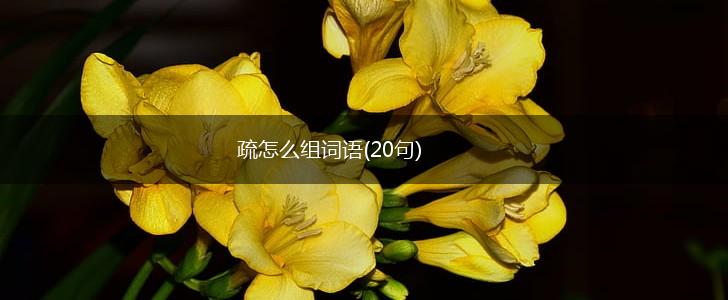 疏怎么组词语(20句),第1张