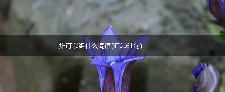炸可以组什么词语(汇总61句),第1张