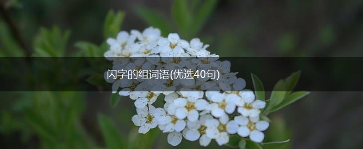 闪字的组词语(优选40句),第1张