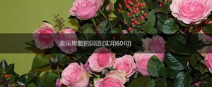 表示抱歉的词语(实用60句),第1张