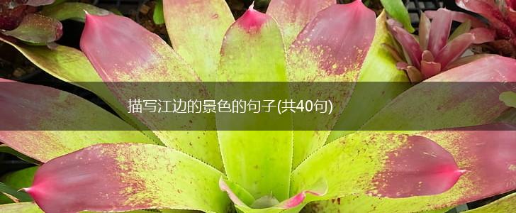 描写江边的景色的句子(共40句),第1张
