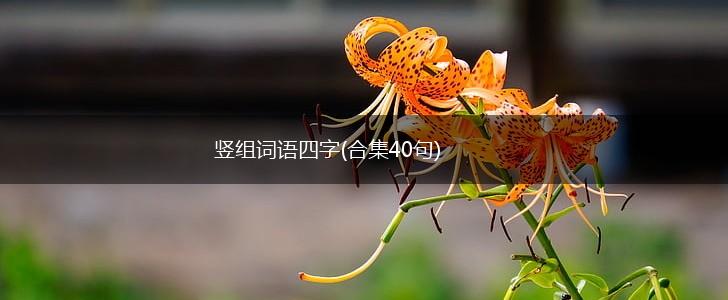 竖组词语四字(合集40句),第1张
