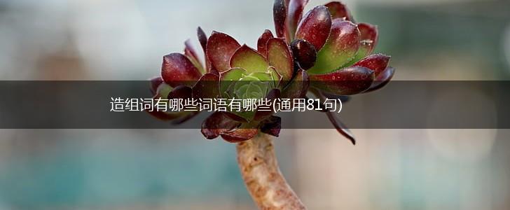 造组词有哪些词语有哪些(通用81句),第1张