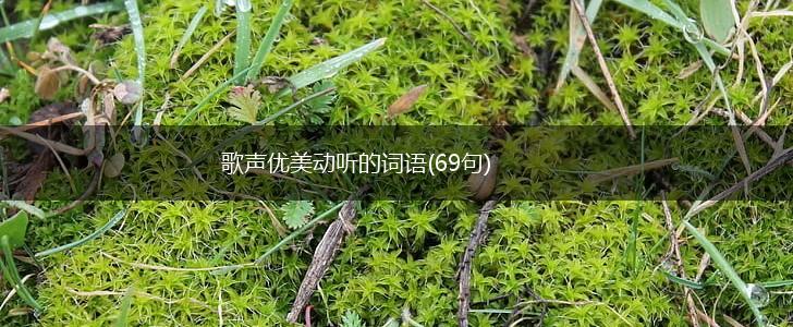 歌声优美动听的词语(69句),第1张