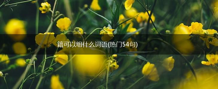 籍可以组什么词语(热门54句),第1张