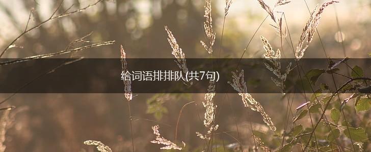给词语排排队(共7句),第1张