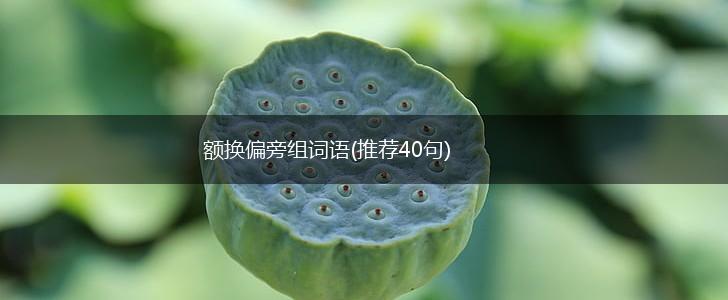 额换偏旁组词语(推荐40句),第1张