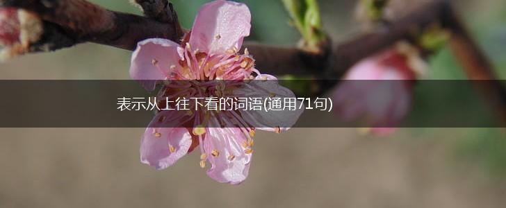 表示从上往下看的词语(通用71句),第1张