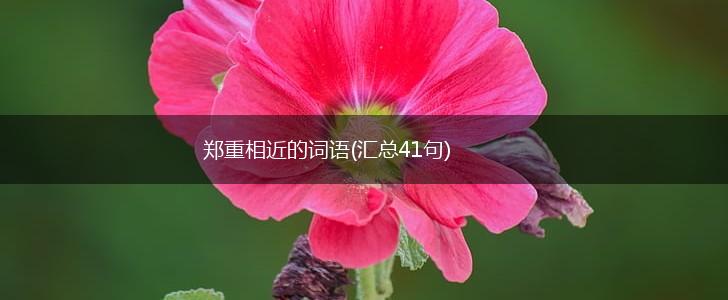 郑重相近的词语(汇总41句),第1张