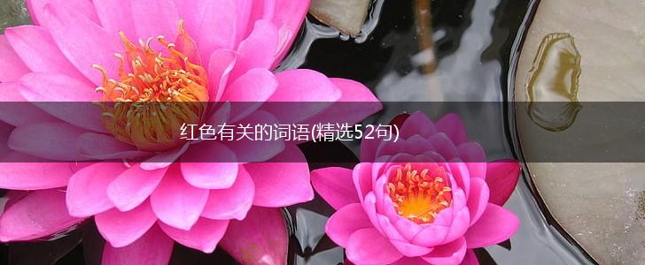 红色有关的词语(精选52句),第1张