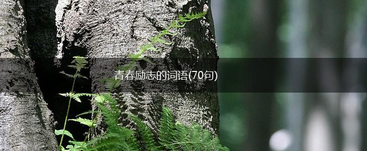 青春励志的词语(70句),第1张