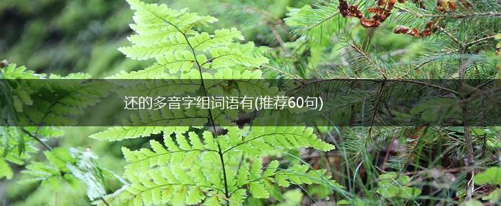 还的多音字组词语有(推荐60句),第1张