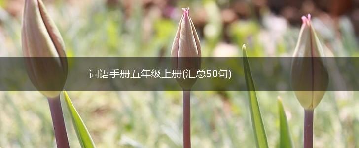 词语手册五年级上册(汇总50句),第1张