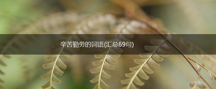 辛苦勤劳的词语(汇总69句),第1张
