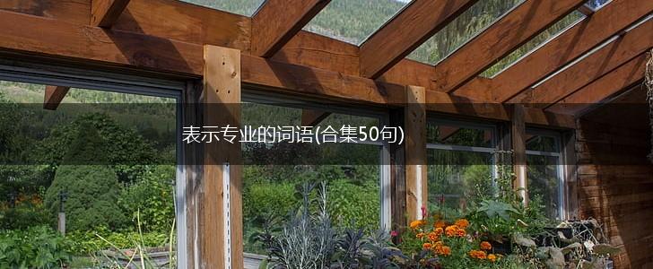 表示专业的词语(合集50句),第1张
