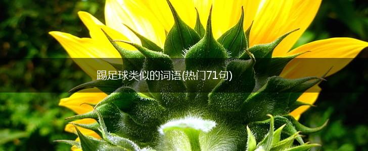 踢足球类似的词语(热门71句),第1张