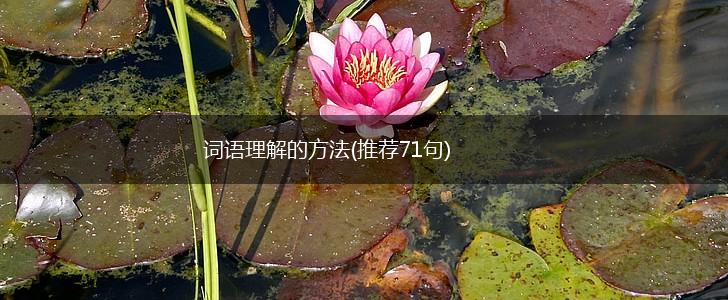 词语理解的方法(推荐71句),第1张